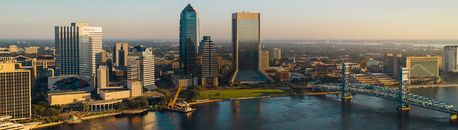 DT Jax (2)