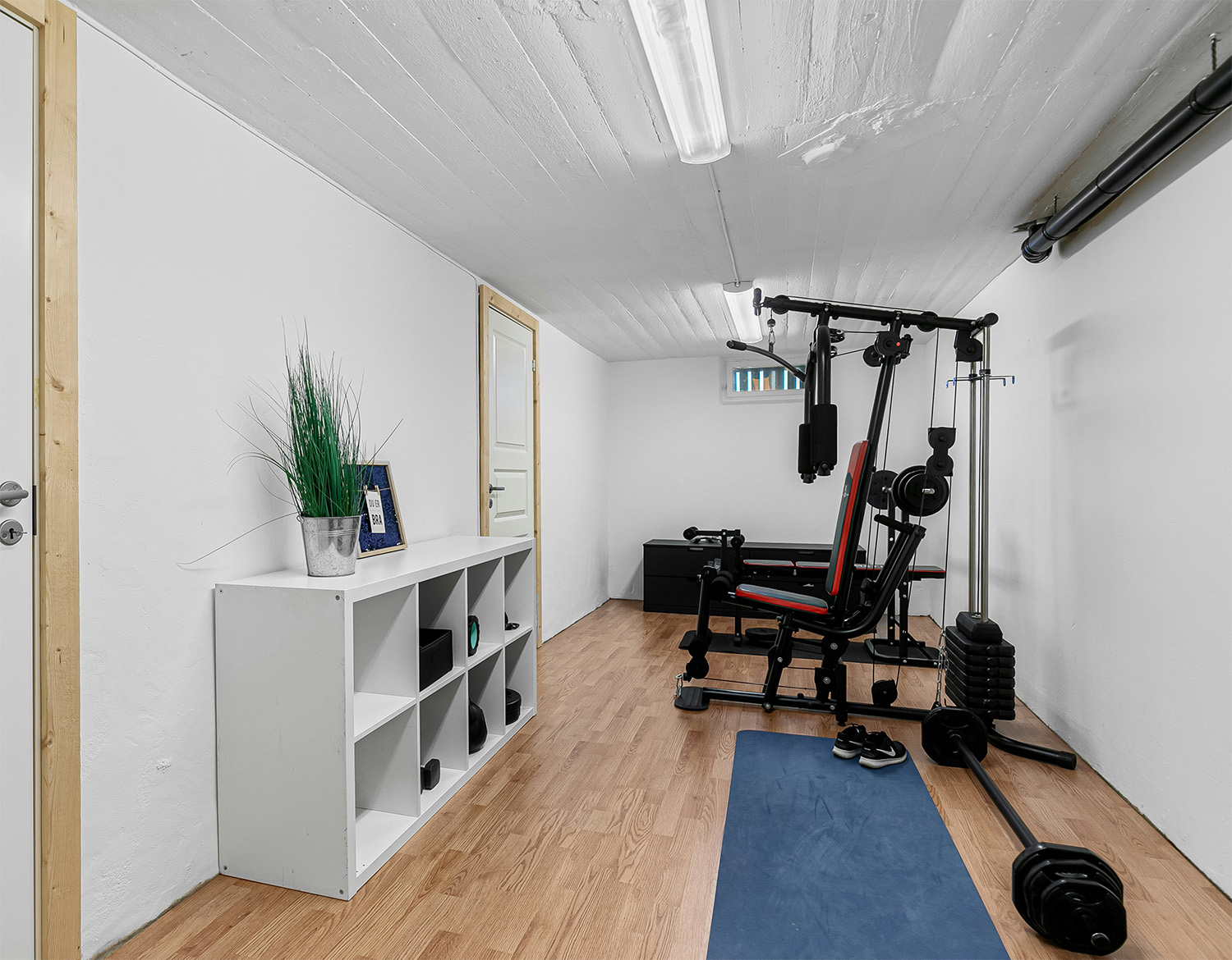 ADU Home Gym